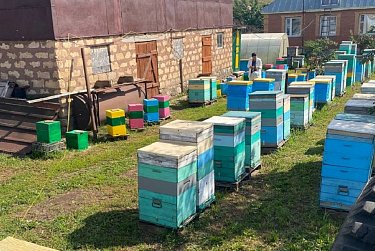 Сергей Аверкиев: «У Оренбуржья есть огромный потенциал по развитию пчеловодства»